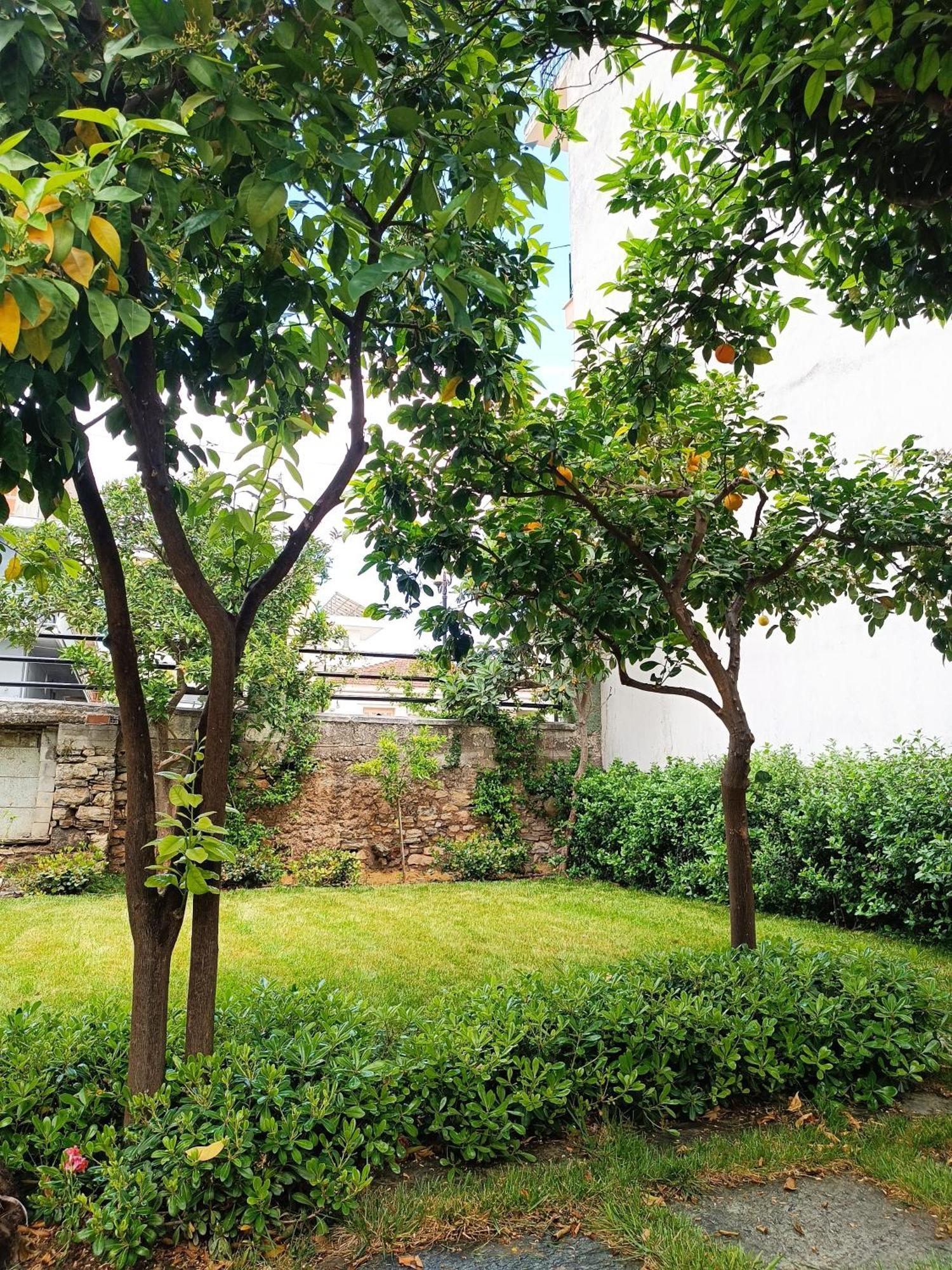 Betty'S Garden House Villa เนอา อันคิอาลอส ภายนอก รูปภาพ