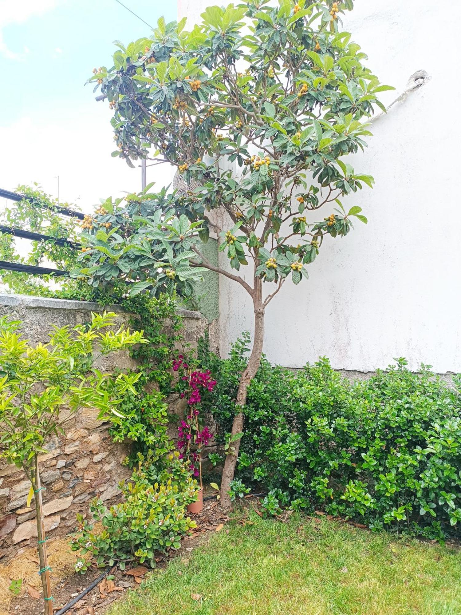 Betty'S Garden House Villa เนอา อันคิอาลอส ห้อง รูปภาพ