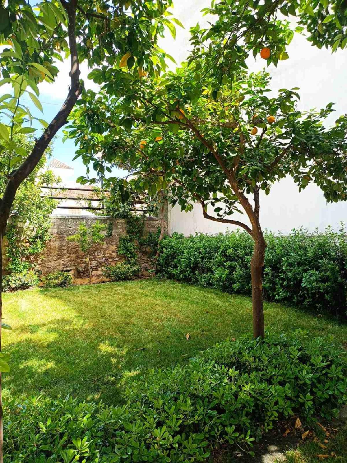Betty'S Garden House Villa เนอา อันคิอาลอส ภายนอก รูปภาพ