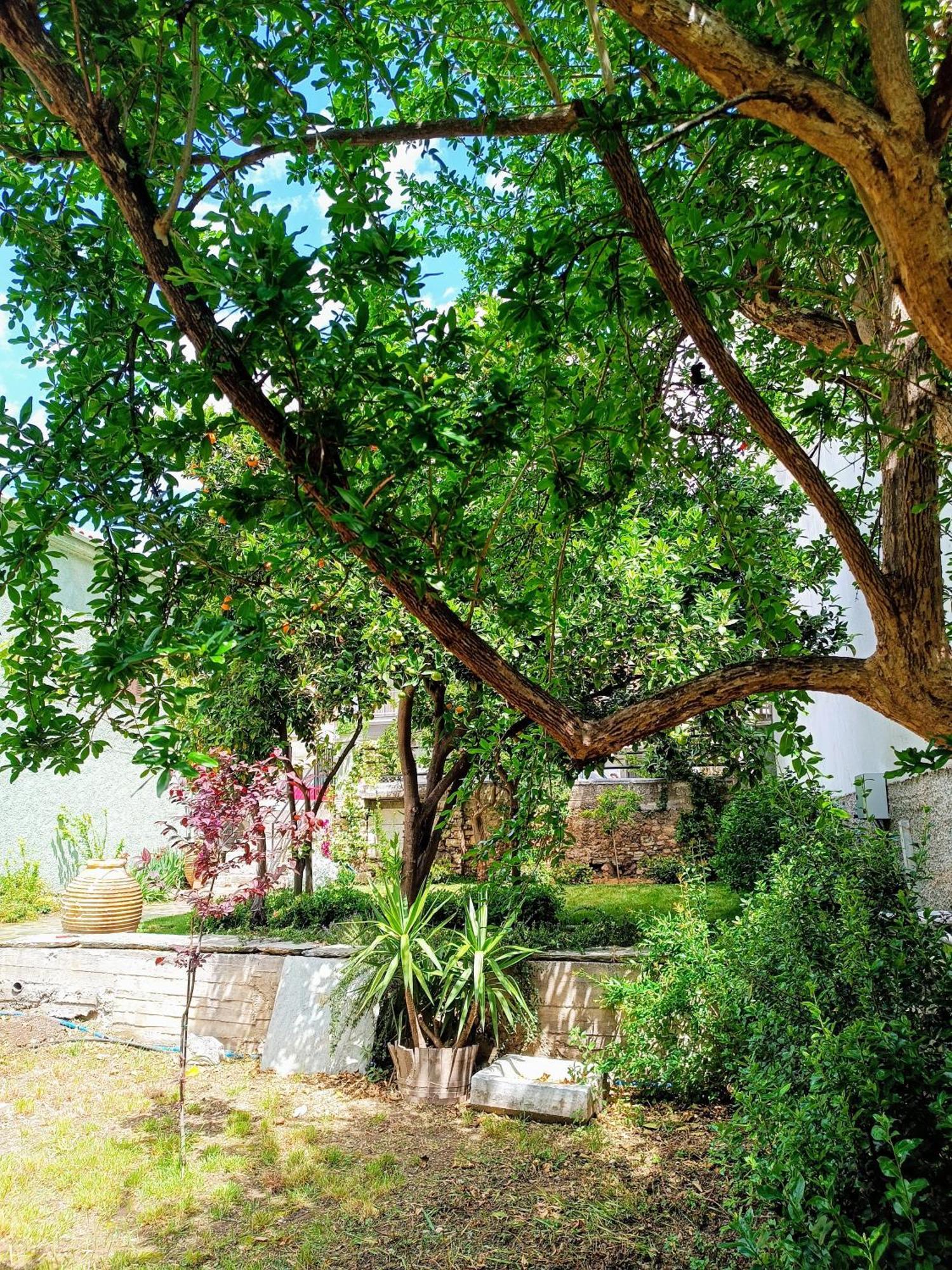 Betty'S Garden House Villa เนอา อันคิอาลอส ห้อง รูปภาพ
